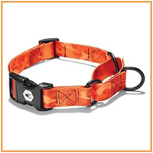 martingale collar