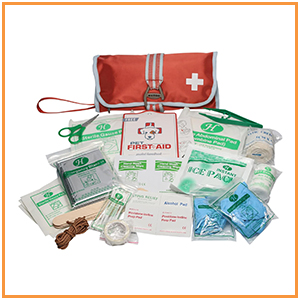 Dog First Aid Kit