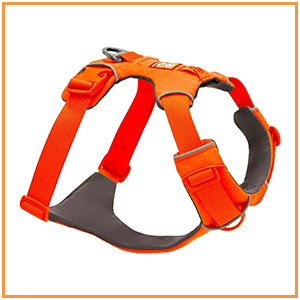 Dog Harness