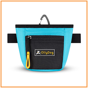 Dog Treat Training Pouch