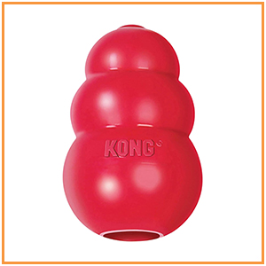 Kong Toy