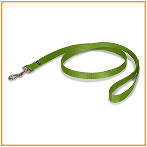 Regular 6 ft Leash