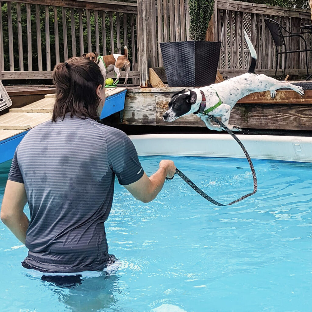 John working with a dog in a swimming pool