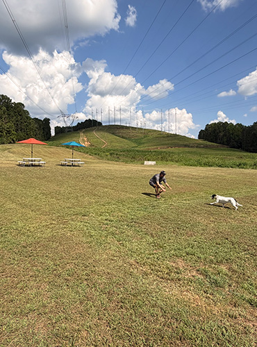 Dogs and owners participating in an outdoor group training class