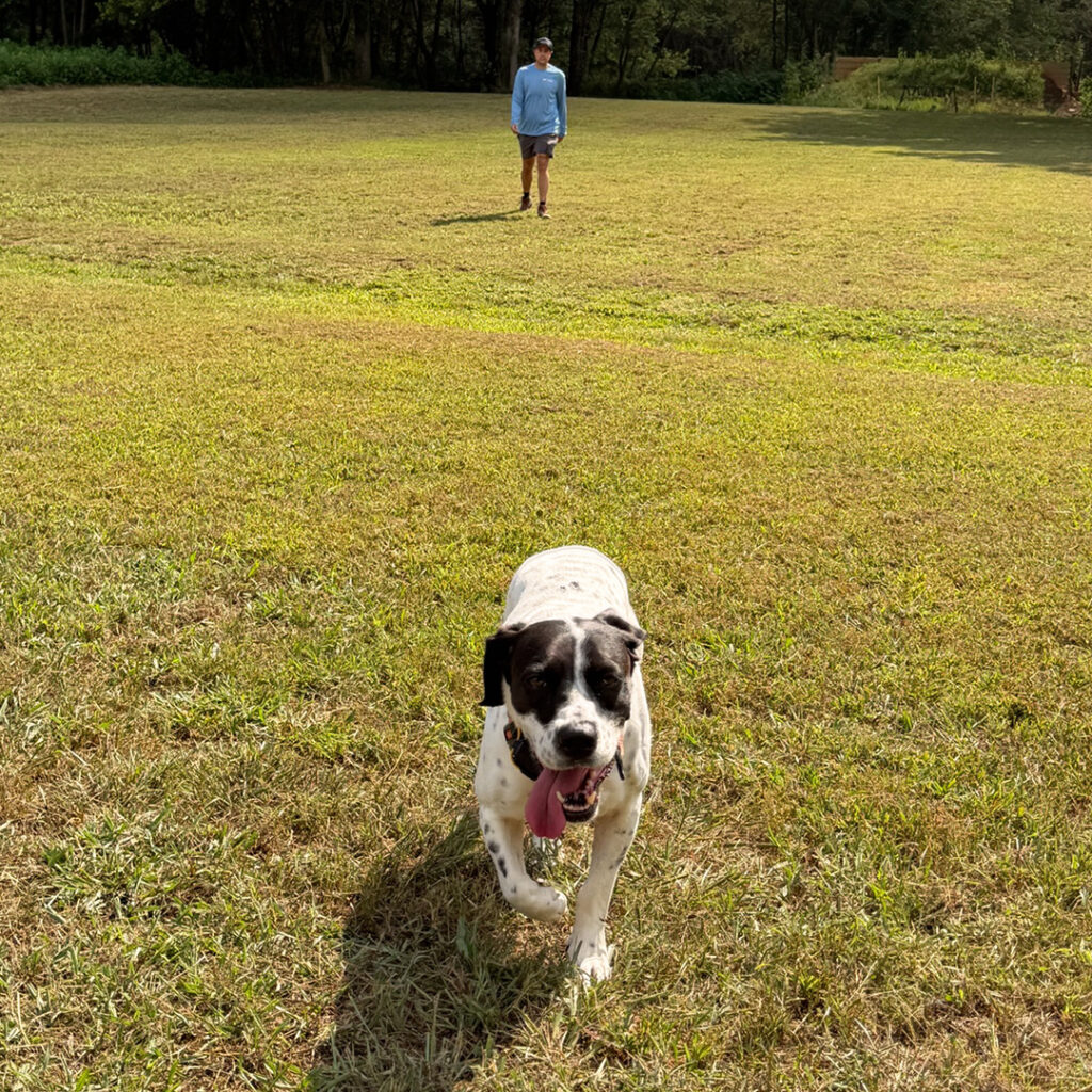 Dog approaching John during an outdoor training session