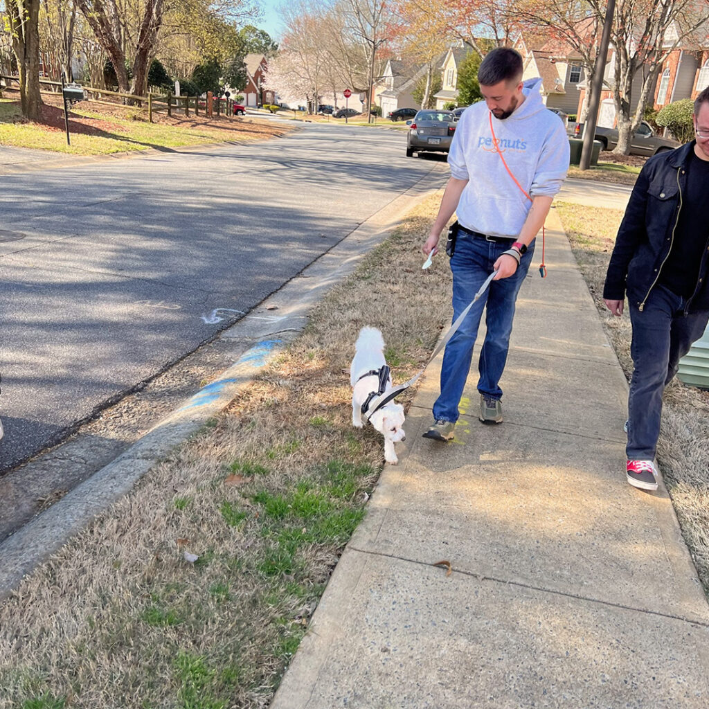 John working with a dog and owner on leash walking during a private training session