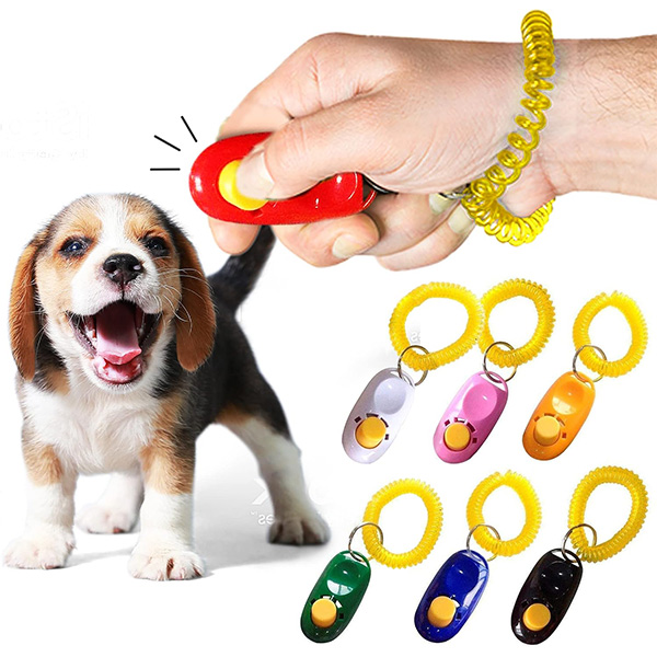 Hand holding a dog training clicker with several clickers displayed