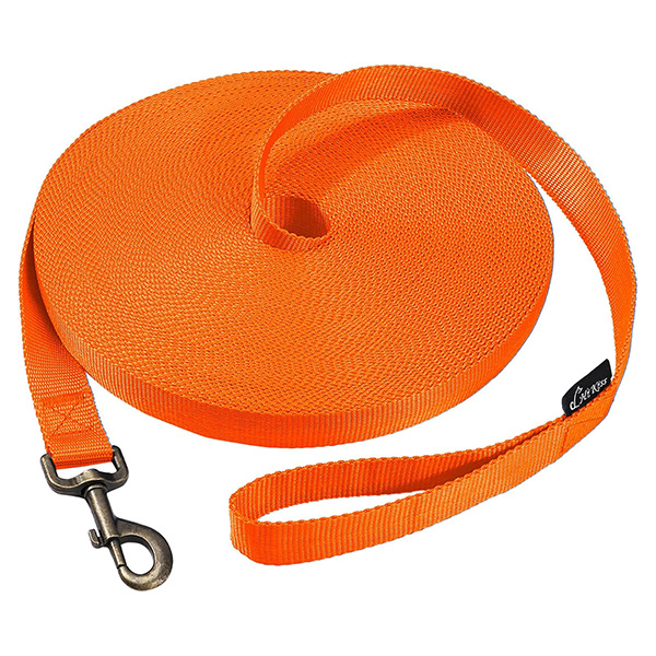Orange long line dog leash with handle and metal clip